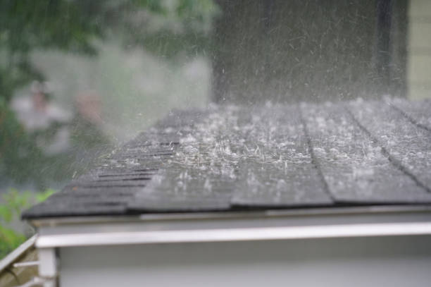 Best Solar Panel Roofing Installation  in Jersey Village, TX